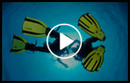Indian Ocean diving movie