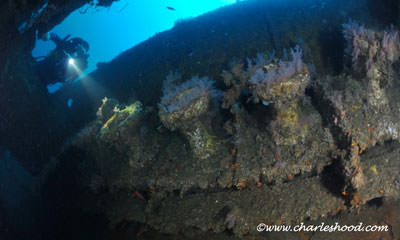 Ceylon Tek Expedition