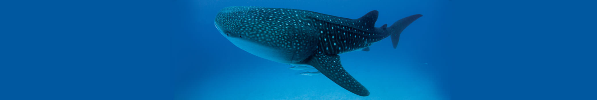 Indian Ocean resorts