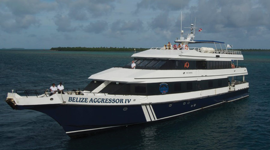 Belize Aggressor | Caribbean Liveaboard