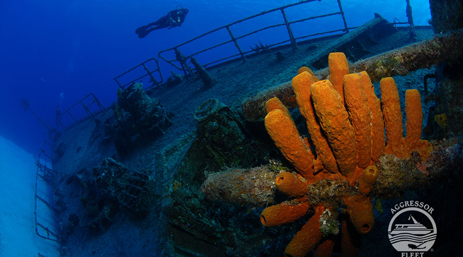Cayman Agressor | Scuba diving Holiday