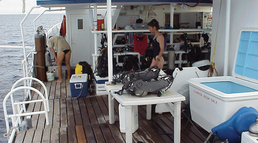 Sea Hunter | Cocos Liveaboard Diving