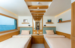 Upper deck twin cabins