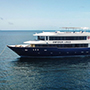 Emperor Virgo | Maldives Liveaboard | Scuba Diving Holiday