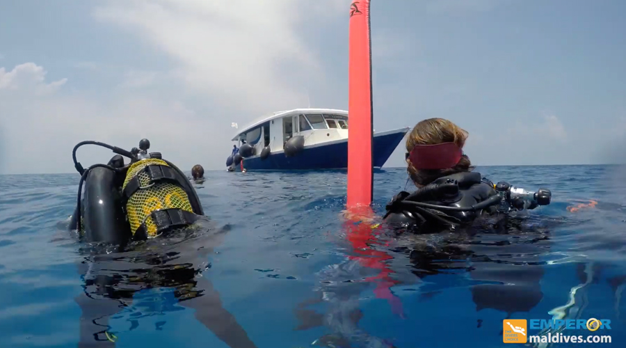 Emperor Virgo | Maldives Liveaboard | Scuba Diving Holiday