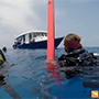 Emperor Virgo | Maldives Liveaboard | Scuba Diving Holiday