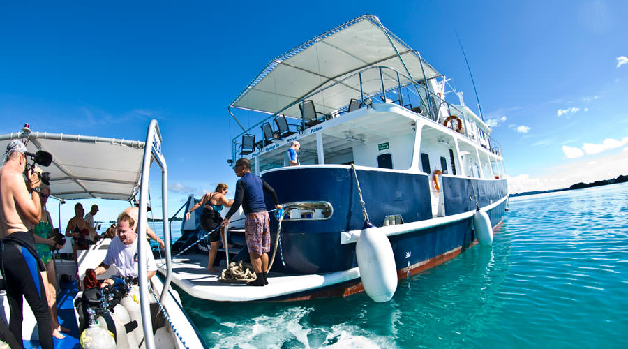 Ocean Hunter 3 | Palau Liveaboard | Palau Diving Holiday