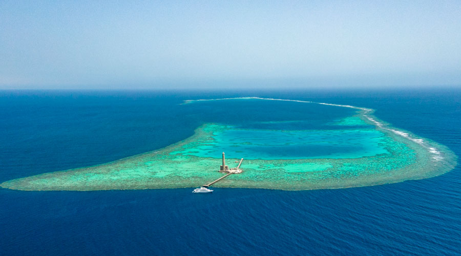 Royal Evolution | Saudi Liveaboard
