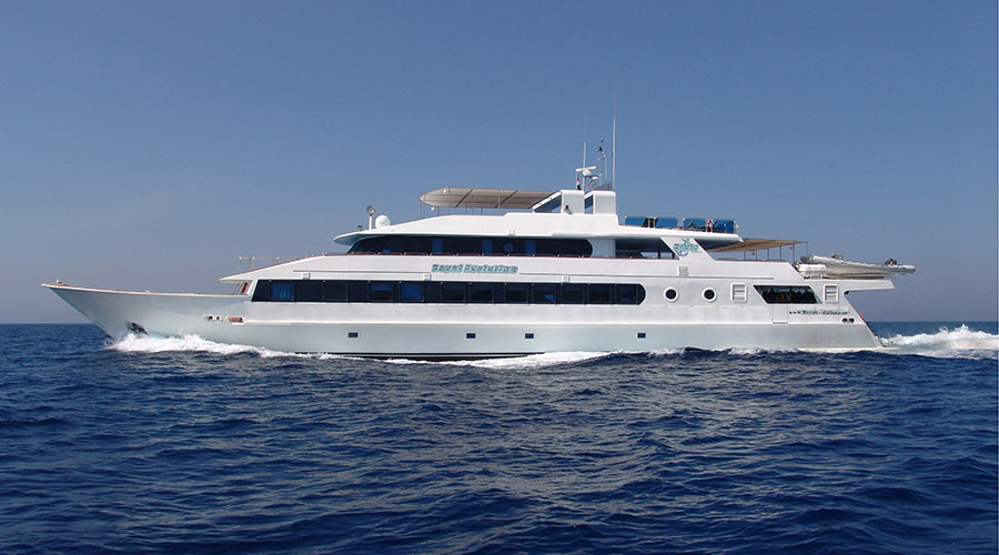 Royal Evolution | Saudi Liveaboard