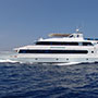 Royal Evolution | Saudi Liveaboard