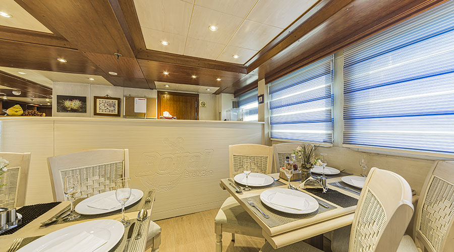 Royal Evolution | Saudi Liveaboard