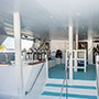 Royal Evolution | Saudi Liveaboard