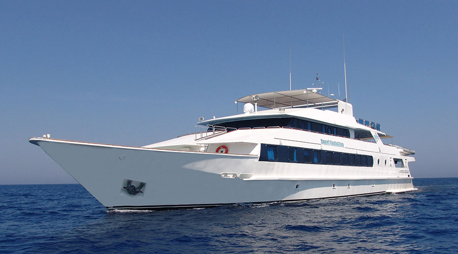 Royal Evolution | Saudi Liveaboard