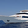 Royal Evolution | Saudi Liveaboard