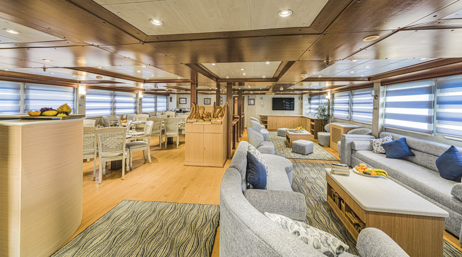 Royal Evolution | Saudi Liveaboard