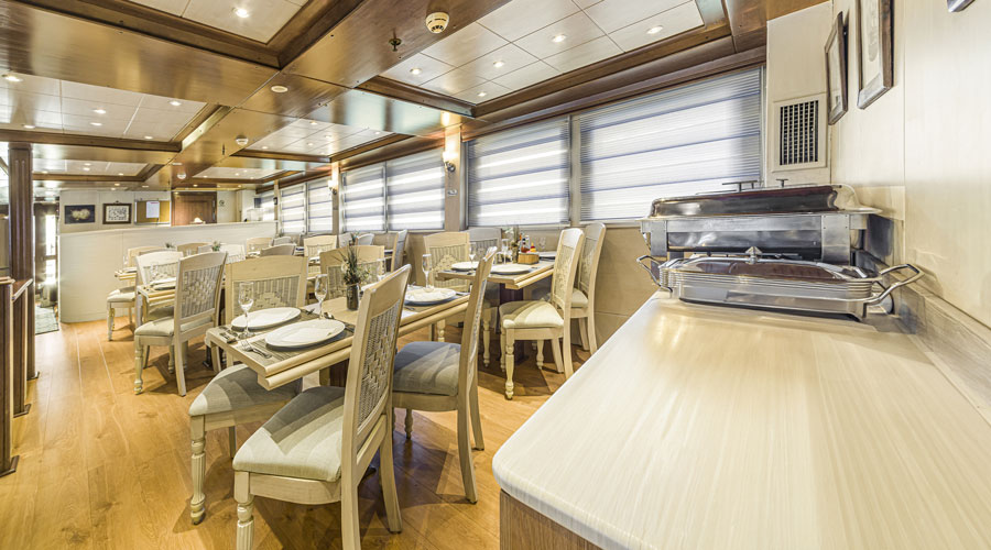 Royal Evolution | Saudi Liveaboard