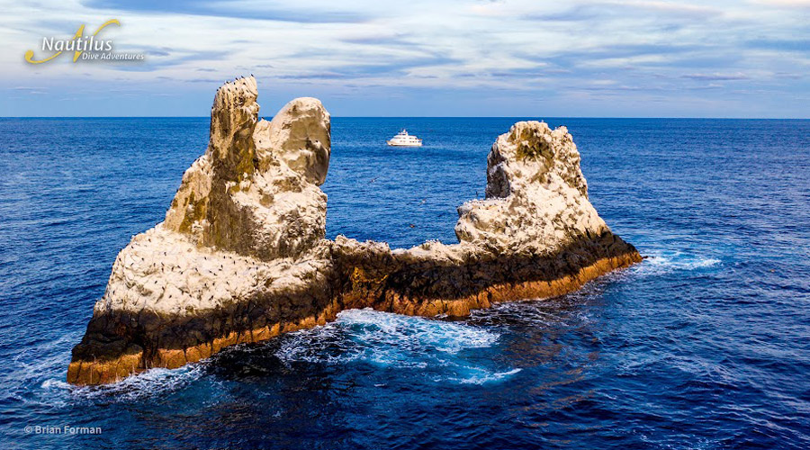 Nautilus Explorer | Socorro and Guadalupe Liveaboard