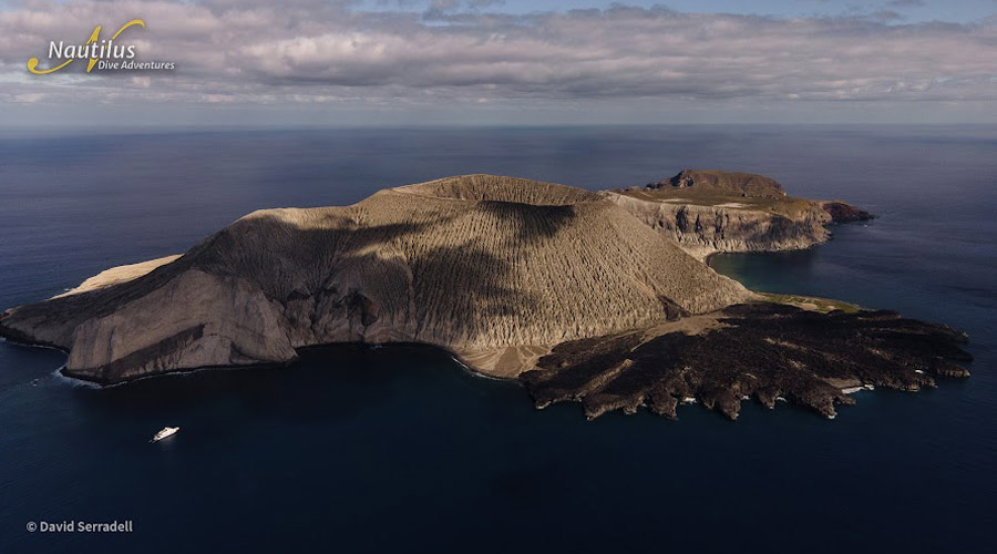 Nautilus Explorer | Socorro and Guadalupe Liveaboard