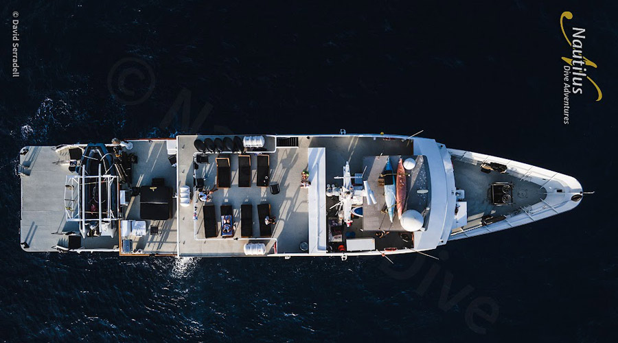 Nautilus Explorer | Socorro and Guadalupe Liveaboard