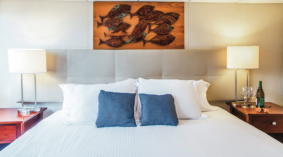 Nautilus Explorer | Socorro and Guadalupe Liveaboard