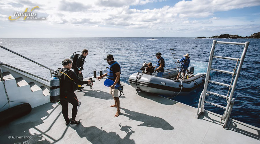 Nautilus Explorer | Socorro and Guadalupe Liveaboard