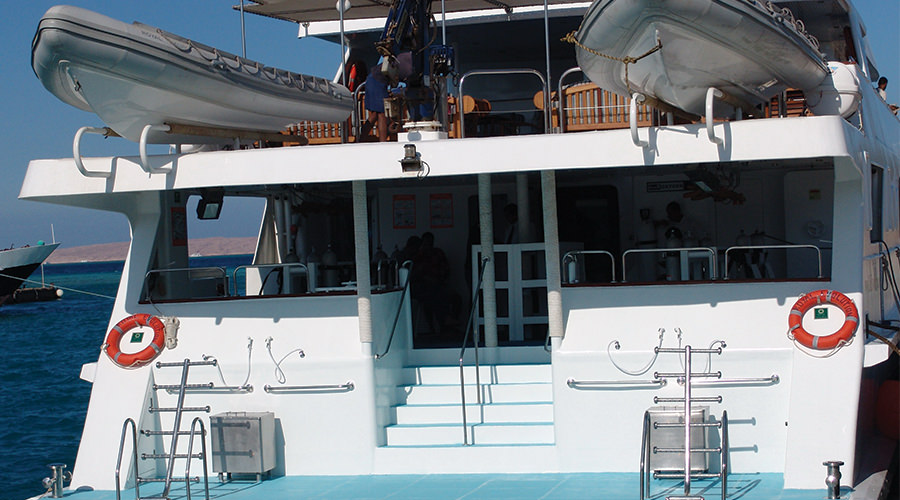 Royal Evolution | Saudi Liveaboard