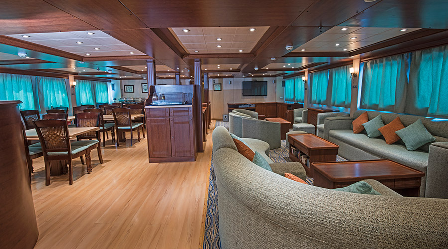 Royal Evolution | Saudi Liveaboard