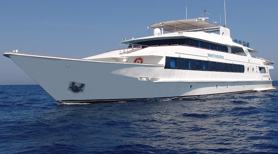 Royal Evolution | Saudi Liveaboard