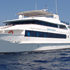 Royal Evolution | Saudi Liveaboard
