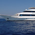Royal Evolution | Saudi Liveaboard