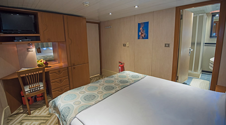 Royal Evolution | Saudi Liveaboard