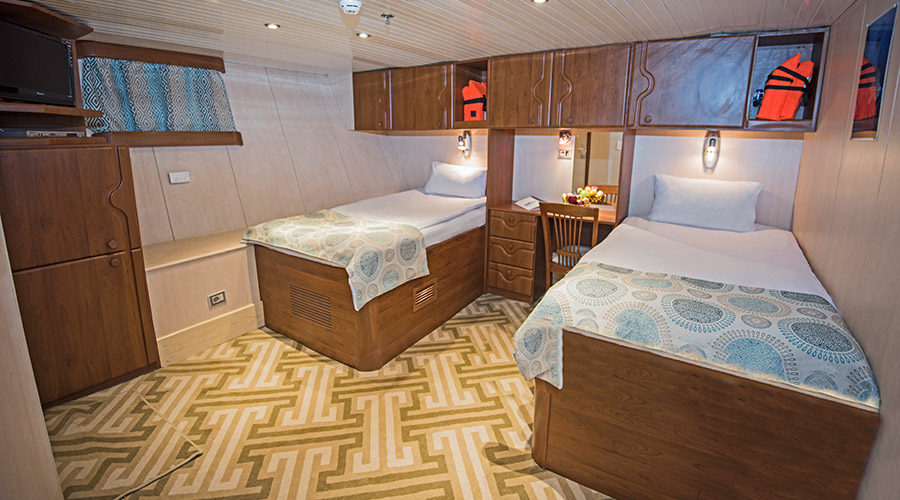 Royal Evolution | Saudi Liveaboard
