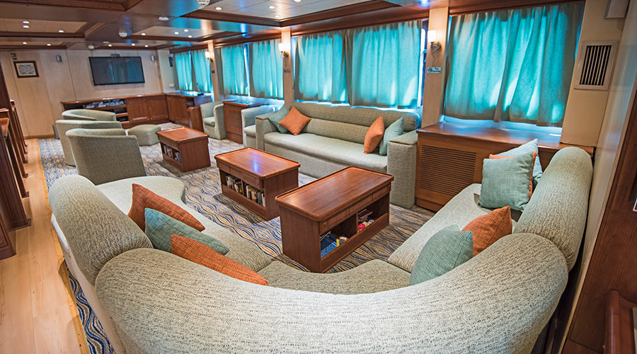 Royal Evolution | Saudi Liveaboard