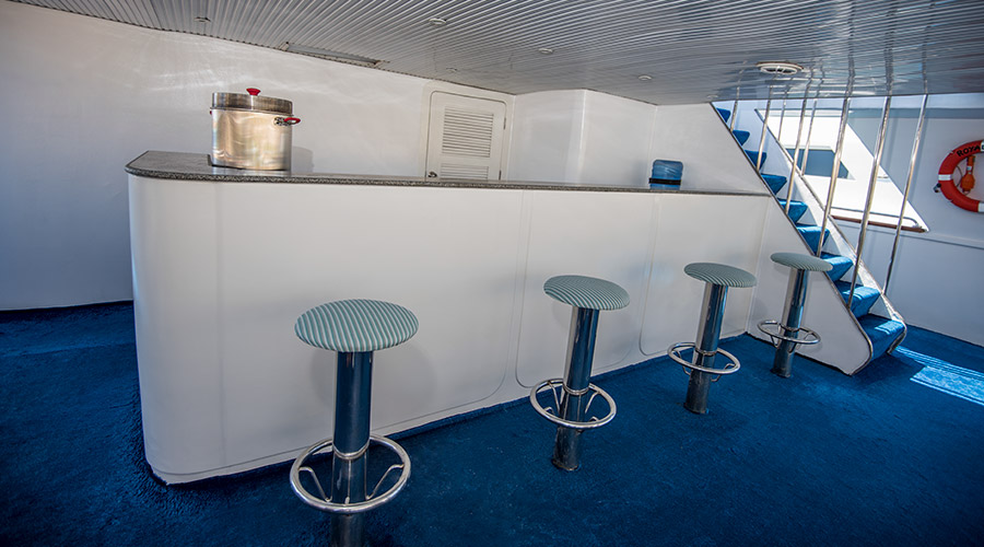 Royal Evolution | Saudi Liveaboard