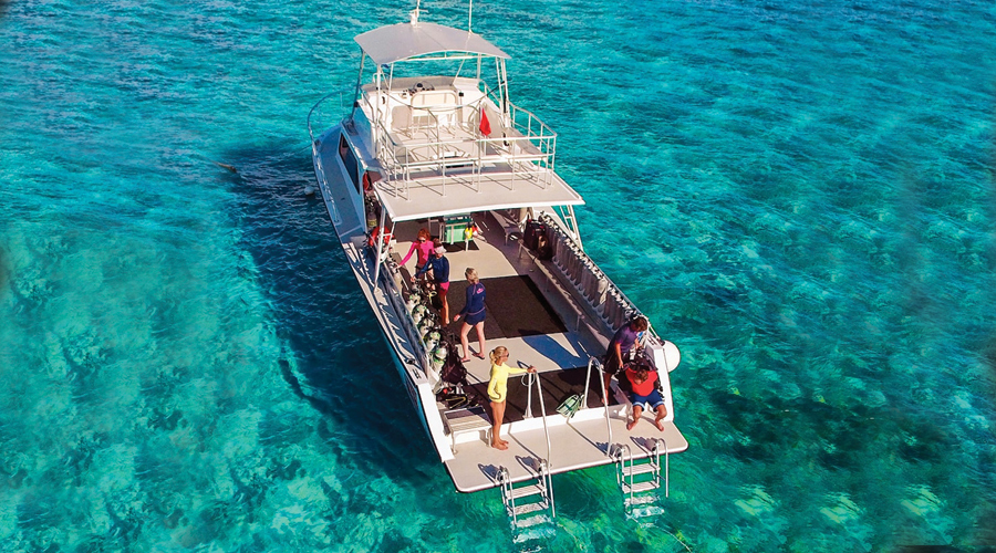 Cobalt Coast Resort and Reef divers | Cayman Islands
