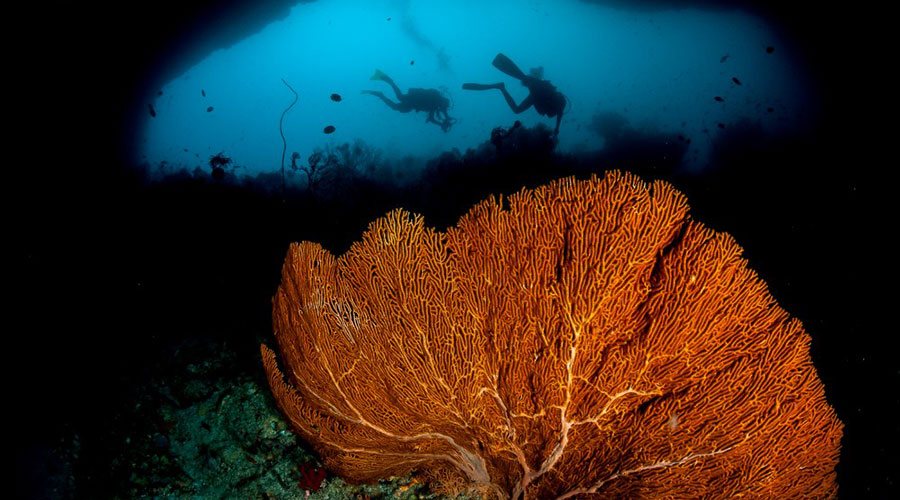 Maluku Resort and Spa