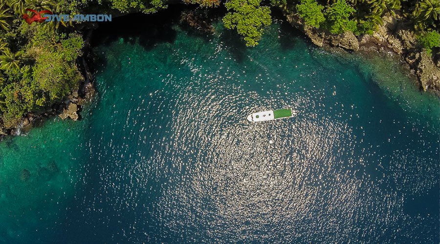 Maluku Resort and Spa