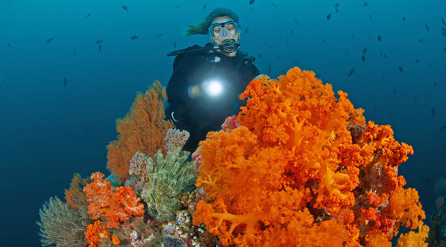 Murex Bangka Resort Manado