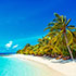 Lily Beach resort Maldives | Dive The Maldives