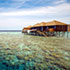 Lily Beach resort Maldives | Dive The Maldives