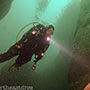 North East Dive - Sea loch diving Scotland