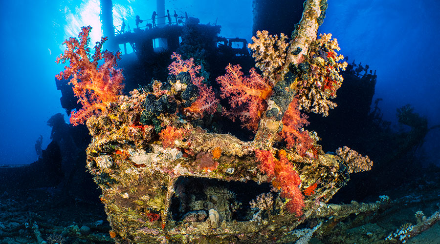 Classic Red Sea Wrecks1