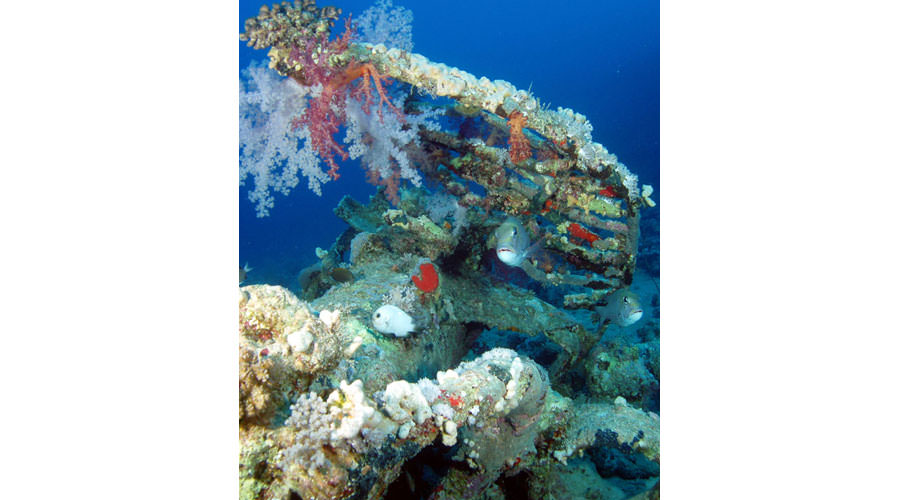 Wrecks and Reefs9