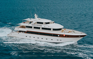 Liveaboard diving holidays