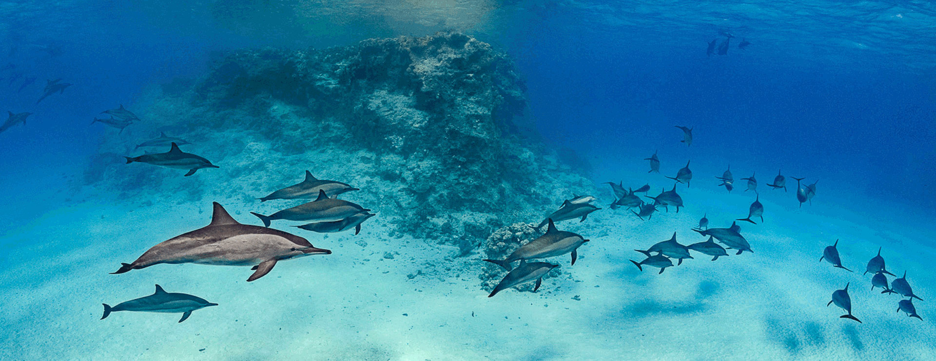 Scuba Diving Holidays Worldwide